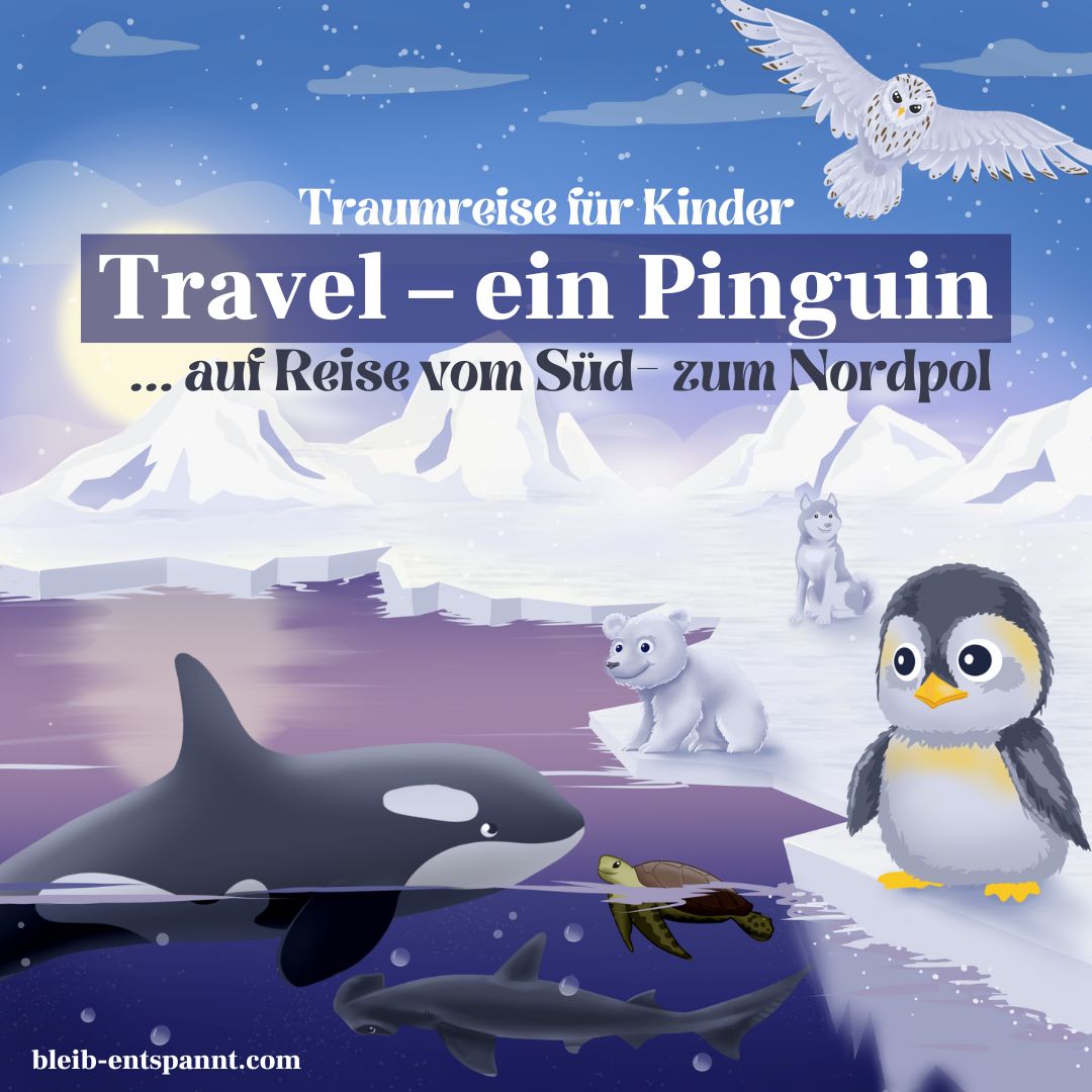 Das Cover der Geschichte mit Pinguin Orca, Schaufelnasenhammerhai, Meeresschildkröte und Schneeeule und Eisbär.