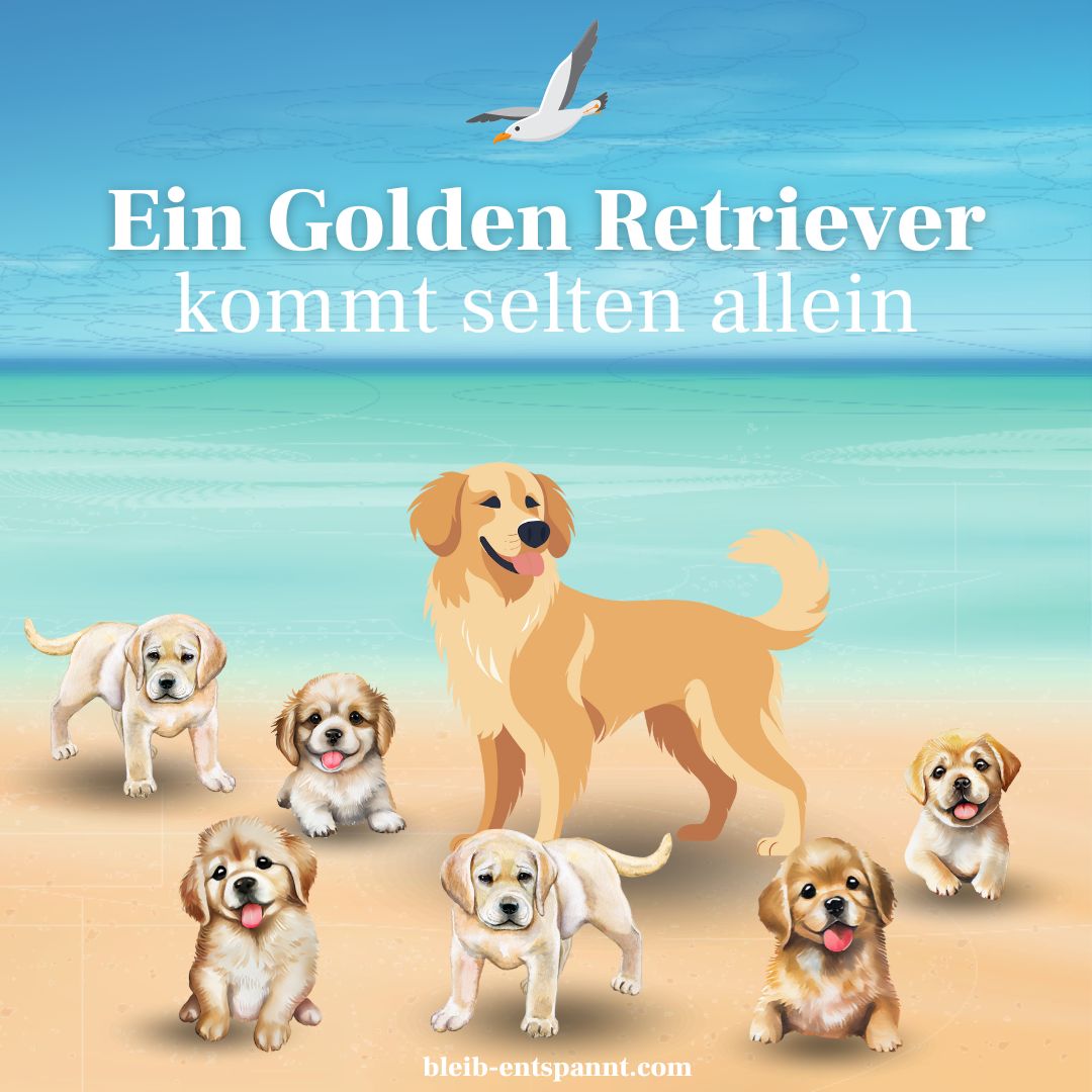 Hundegeschichte