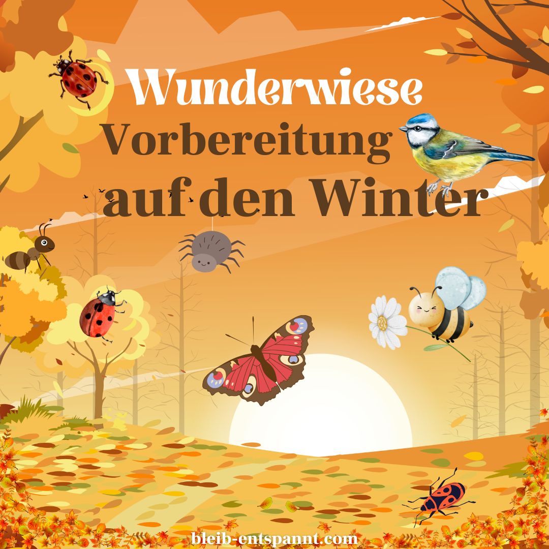 Das Cover dieser Traumreise über Insekten im Winter mit Marienkäfer, Schmetterlinge, Bienen, Ameisen und herbstlichem Hintergrund.