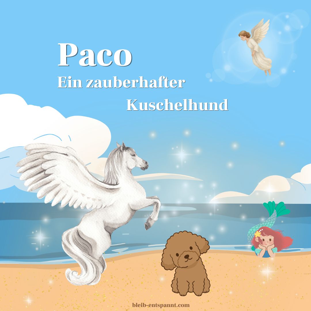 Paco – ein zauberhafter Kuschelhund – Traumreise für Kinder